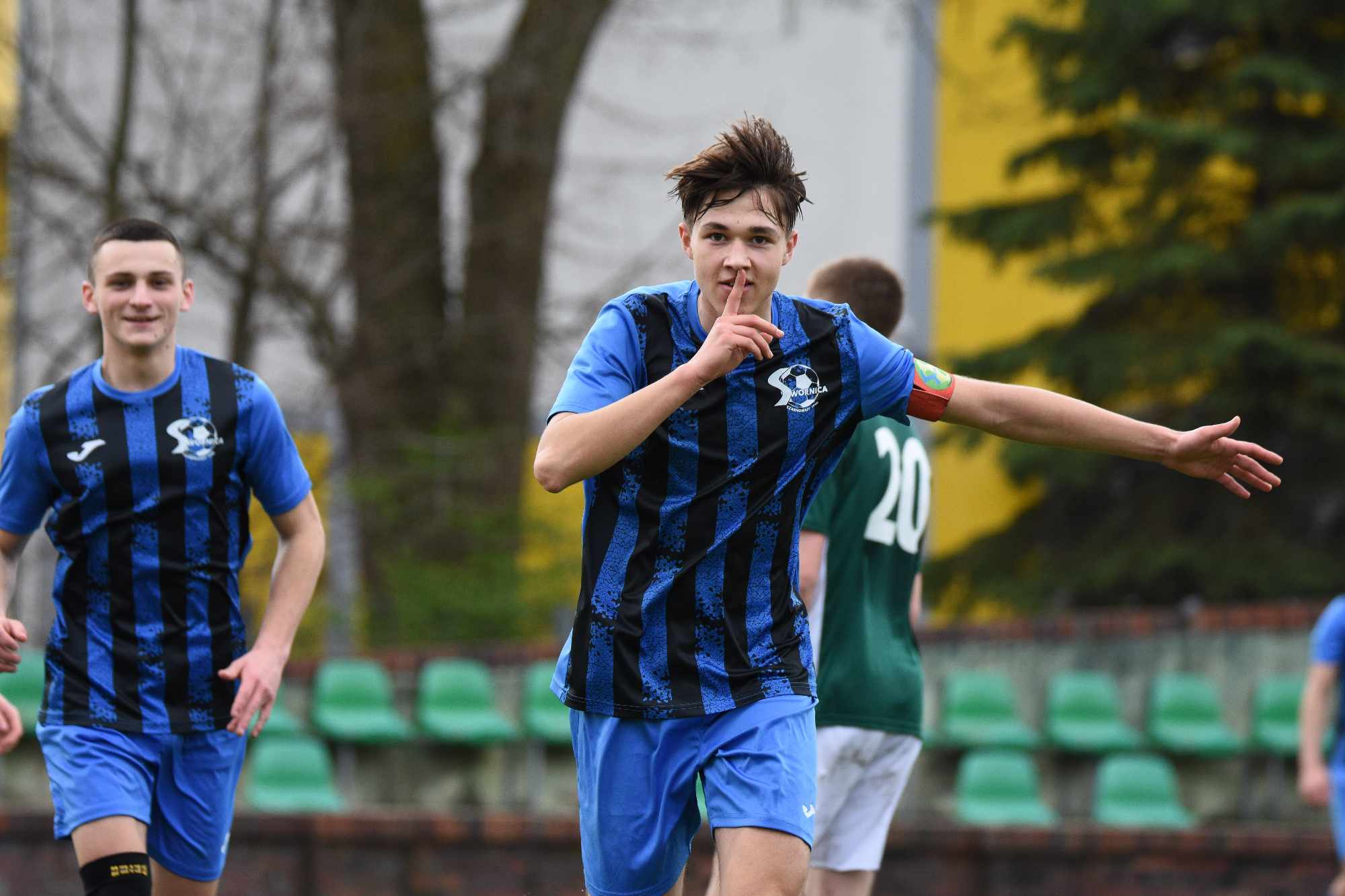 Swornica Czarnowąsy